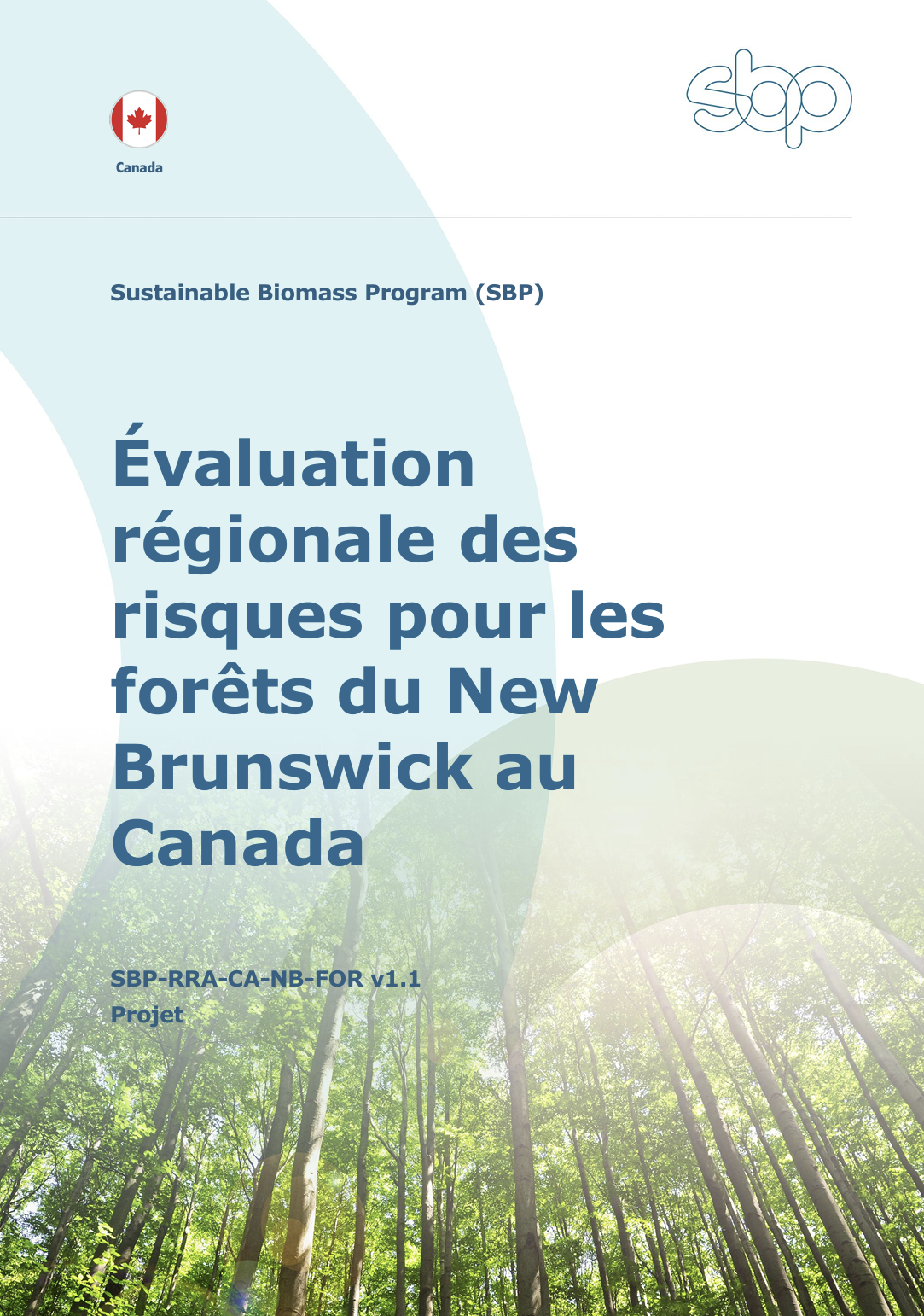 Évaluation régionale des risques pour les forêts du Nouveau-Brunswick v1.1 (Français)