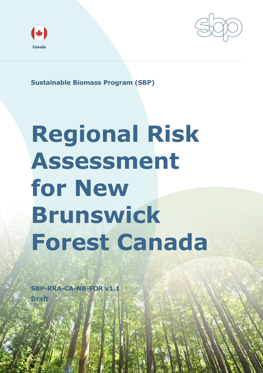 Regional Risk Assessment for New Brunswick Forest v1.1